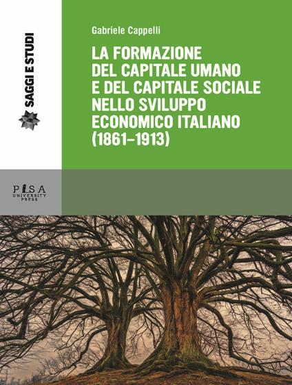 La formazione del capitale umano e del capitale sociale nello sviluppo economico italiano (1861-1913) - Gabriele Cappelli - copertina