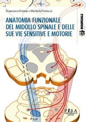 Anatomia funzionale del midollo spinale e delle sue vie sensitive e motorie - Francesco Fornai,Michela Ferrucci - copertina