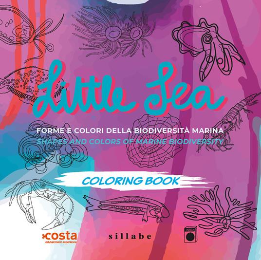Little sea. Forme e colori della biodiversità marina- Shapes and colors of marine biodiversity. Ediz. bilingue - Alice Malotti,Giovanni Raimondi - copertina