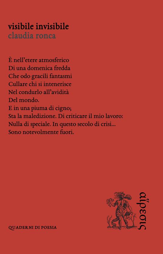 Visibile invisibile - Claudia Ronca - copertina