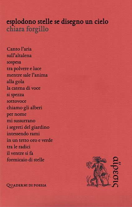 Esplodono stelle se disegno un cielo - Chiara Forgillo - copertina