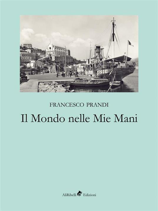 Il mondo nelle mie mani - Francesco Prandi - ebook