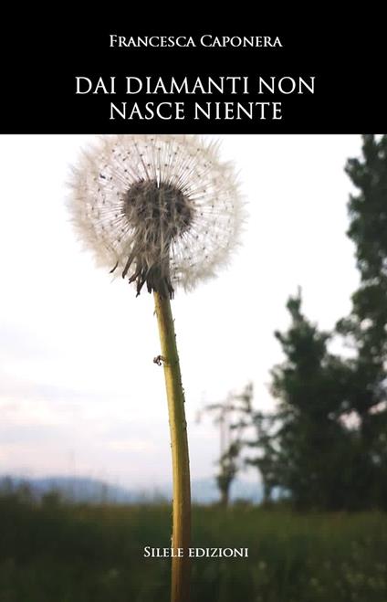 Dai diamanti non nasce niente - Francesca Caponera - copertina