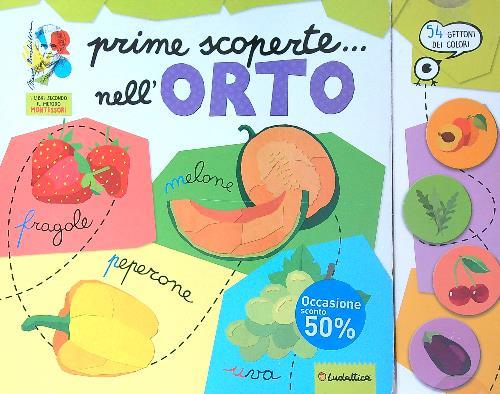 Libro di Faccia