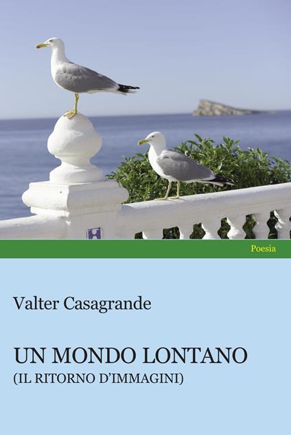 Un mondo lontano - Valter Casagrande - copertina