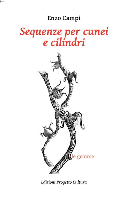 Sequenze per cunei e cilindri - Enzo Campi - copertina