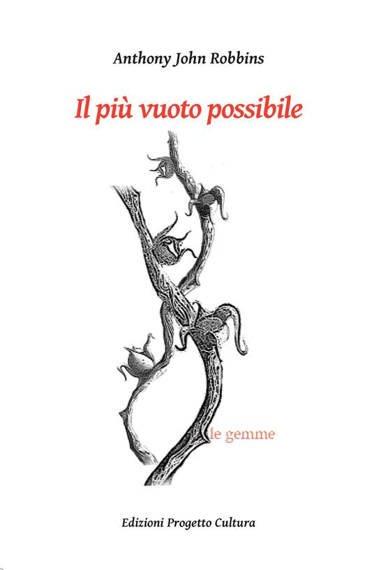 Il più vuoto possibile - Anthony John Robbins - copertina