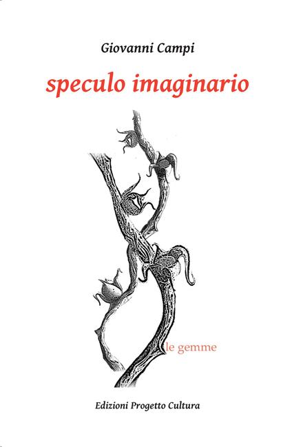 Speculo imaginario - Giovanni Campi - copertina
