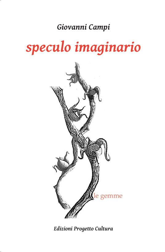 Speculo imaginario - Giovanni Campi - copertina