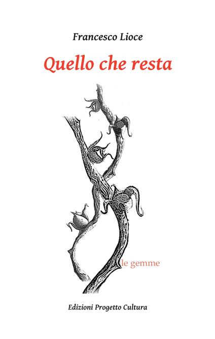 Quello che resta - Francesco Lioce - copertina