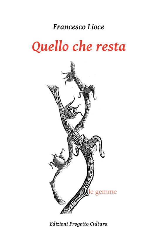 Quello che resta - Francesco Lioce - copertina