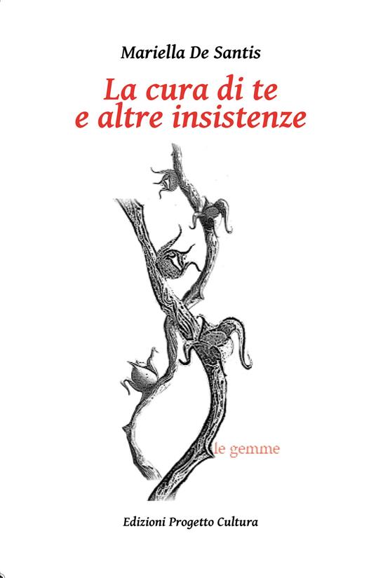 La cura di te e altre insistenze - Mariella De Santis - copertina