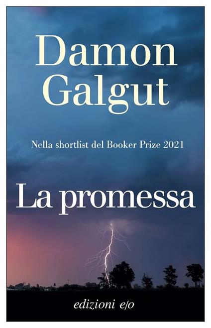 La promessa - Damon Galgut - copertina