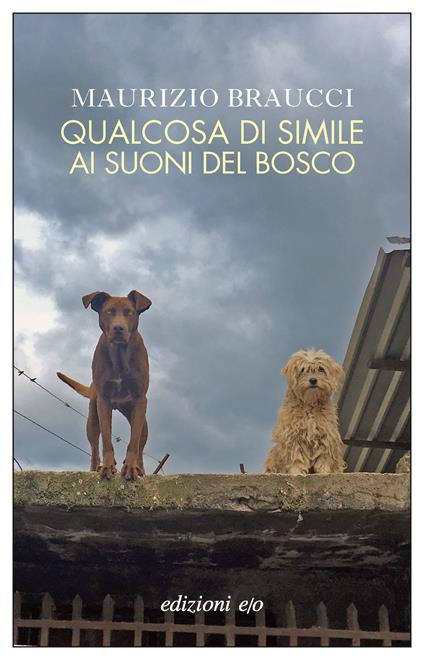 Qualcosa di simile ai suoni del bosco - Maurizio Braucci - copertina