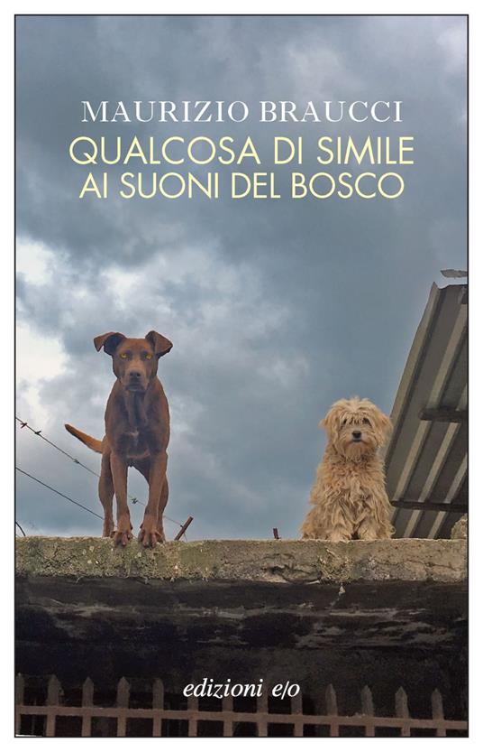 Qualcosa di simile ai suoni del bosco - Maurizio Braucci - ebook