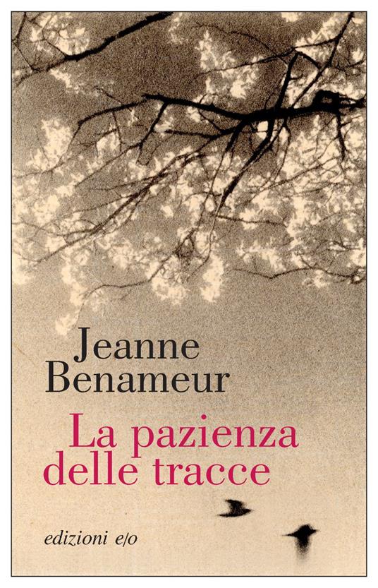 La pazienza delle tracce - Jeanne Benameur,Silvia Manfredo - ebook