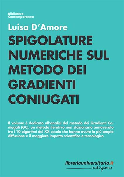 Spigolature numeriche sul metodo dei gradienti coniugati - Luisa D'Amore - copertina