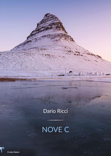 Nove C - Dario Ricci D. - copertina