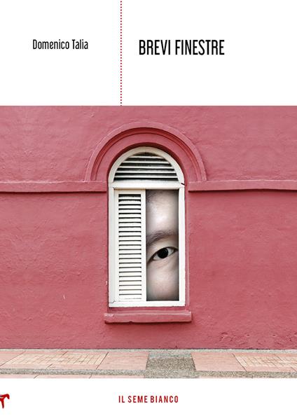 Brevi finestre - Domenico Talia - copertina