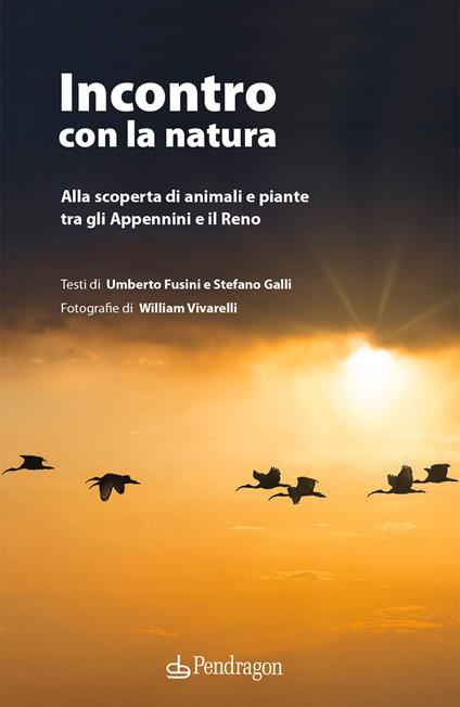 Incontro con la natura. Alla scoperta di animali e piante tra gli Appennini e il Reno. Ediz. illustrata - Umberto Fusini,Stefano Galli - copertina