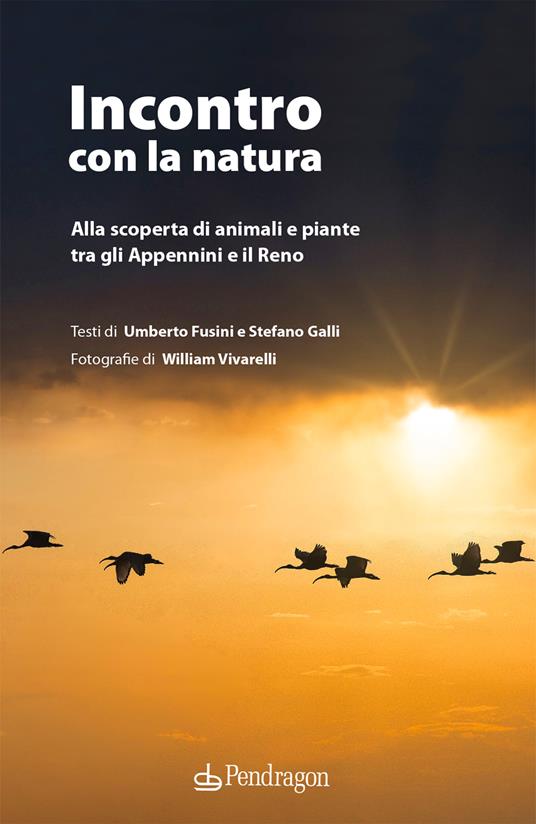Incontro con la natura. Alla scoperta di animali e piante tra gli Appennini e il Reno. Ediz. illustrata - Umberto Fusini,Stefano Galli - copertina