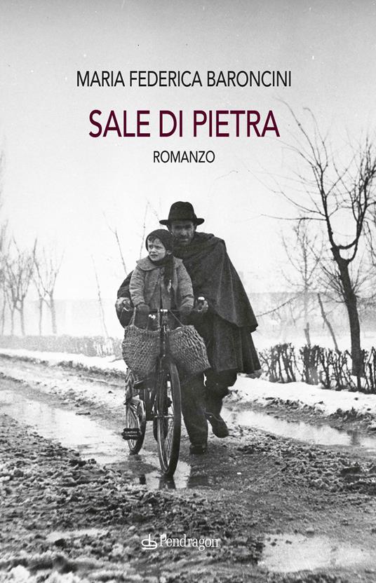Sale di pietra - Maria Federica Baroncini - copertina