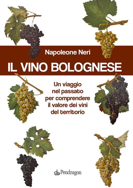 Il vino bolognese. Un viaggio nel passato per comprendere il valore dei vini del territorio - Napoleone Neri - copertina