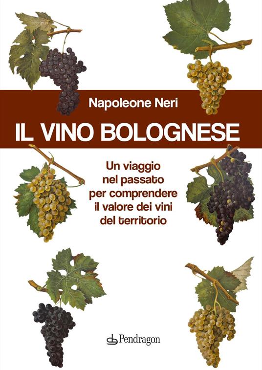 Il vino bolognese. Un viaggio nel passato per comprendere il valore dei vini del territorio - Napoleone Neri - copertina