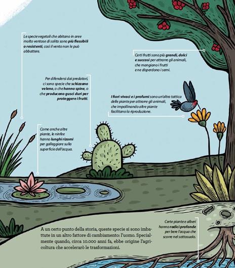 Piante domesticate e altri mutanti. Ediz. a colori - Eduardo Muñoz Iban - 5