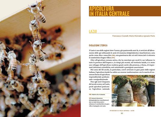 L'apicoltura in Italia. Storia e biodiversità - 15