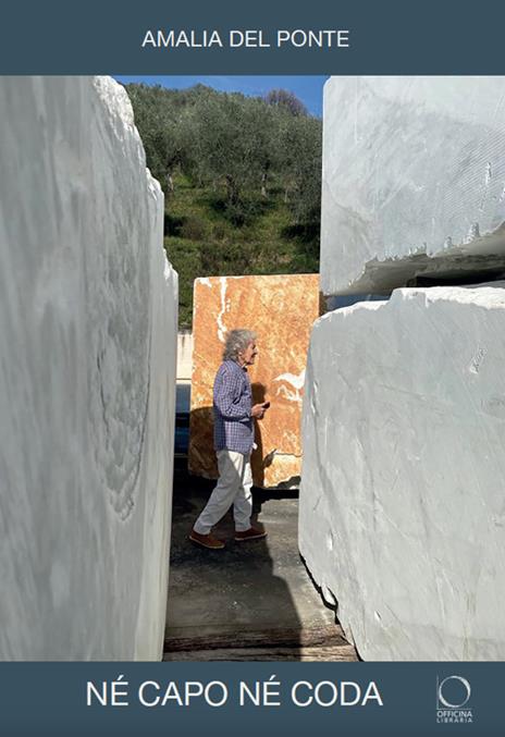 Né capo, né coda. Senza gli alberi, il deserto. Ediz. a colori - Amalia Del Ponte - copertina