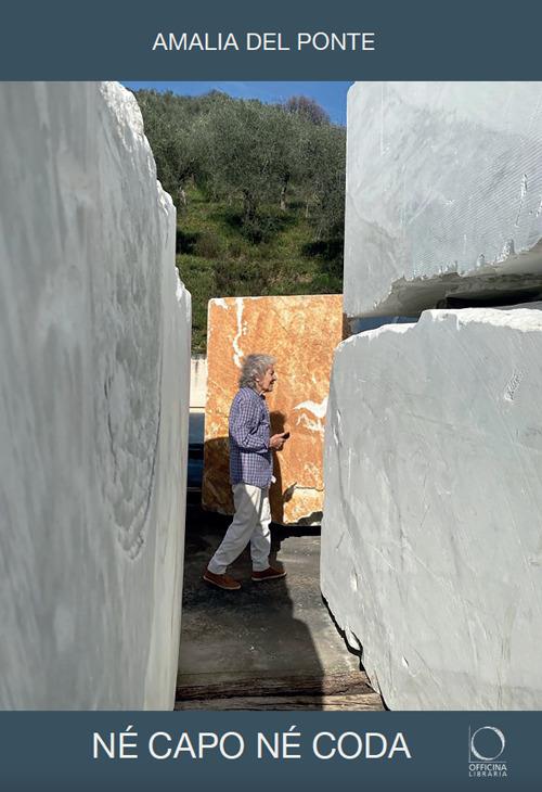 Né capo, né coda. Senza gli alberi, il deserto. Ediz. a colori - Amalia Del Ponte - copertina