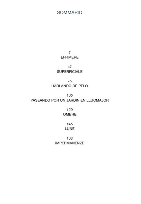 Né capo, né coda. Senza gli alberi, il deserto. Ediz. a colori - Amalia Del Ponte - 2