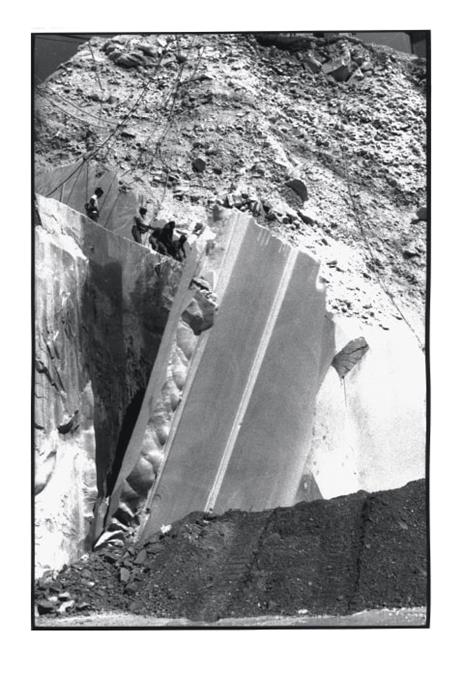 Né capo, né coda. Senza gli alberi, il deserto. Ediz. a colori - Amalia Del Ponte - 3