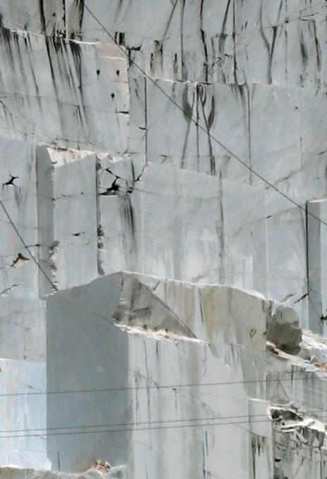 Né capo, né coda. Senza gli alberi, il deserto. Ediz. a colori - Amalia Del Ponte - 5