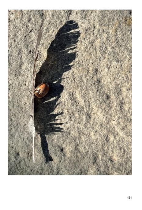 Né capo, né coda. Senza gli alberi, il deserto. Ediz. a colori - Amalia Del Ponte - 9