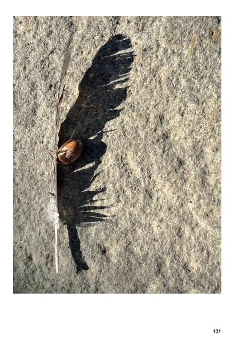 Né capo, né coda. Senza gli alberi, il deserto. Ediz. a colori - Amalia Del Ponte - 9