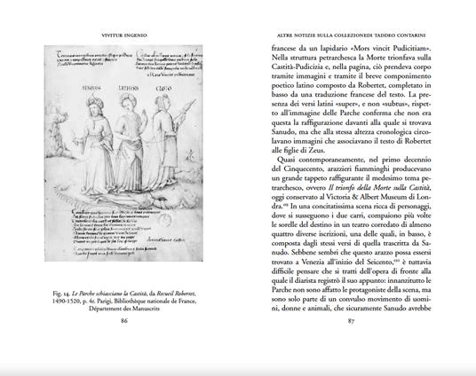 «Vivitur ingenio». I Tre filosofi di Giorgione e Taddeo Contarini - Giulia Zaccariotto - 9