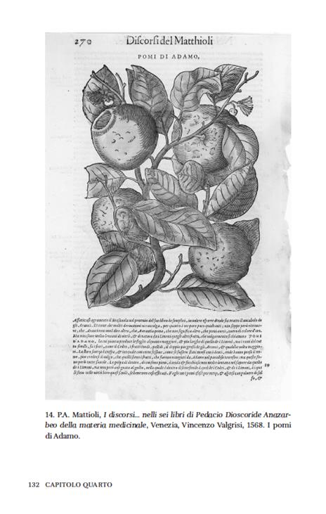 Superfici. Corpi, pratiche e modelli cognitivi nella chirurgia di età moderna - Paolo Savoia - 13