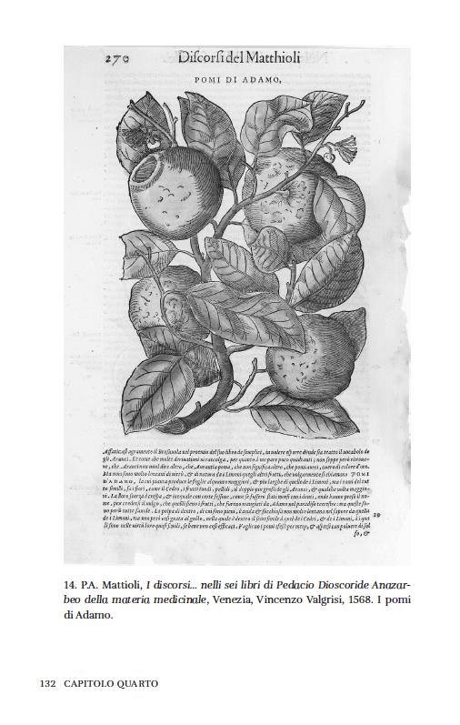 Superfici. Corpi, pratiche e modelli cognitivi nella chirurgia di età moderna - Paolo Savoia - 13