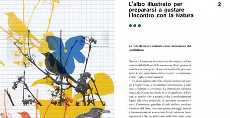 Educare al pensiero ecologico. Letture, scritture e passeggiate per un mondo sostenibile - Rosa Tiziana Bruno - 3