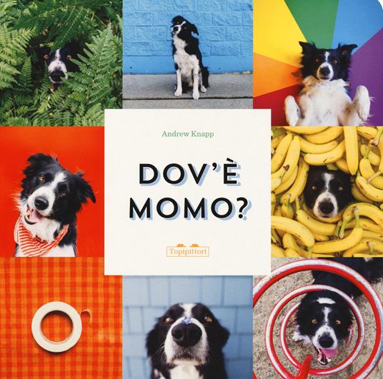 Dov'è Momo? Ediz. a colori - Andrew Knapp - copertina