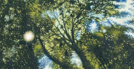 Il sasso più bello. Ediz. a colori - Gilles Baum - 2