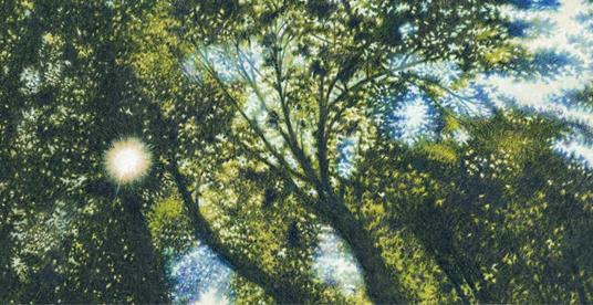 Il sasso più bello. Ediz. a colori - Gilles Baum - 2