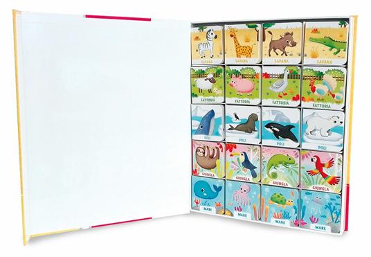 La mia prima enciclopedia degli animali - Benedetta Nigelli - 5
