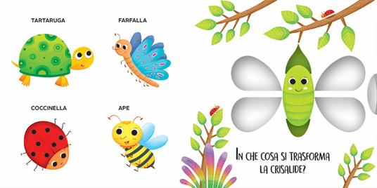 Gli animali del bosco e del giardino. Ediz. a colori - Deborah Forni - 3