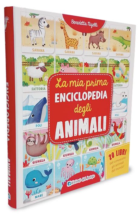 La mia prima enciclopedia degli animali - Benedetta Nigelli - 2