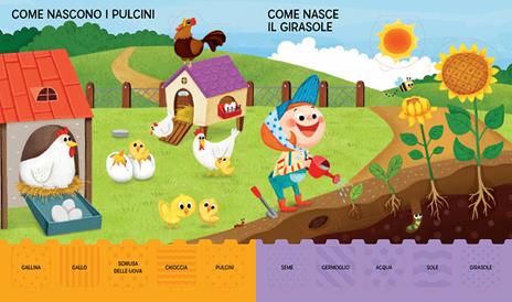 La fattoria. Gioca, scopri, impara. Ediz. a colori - Jeon Sookhyun - 2