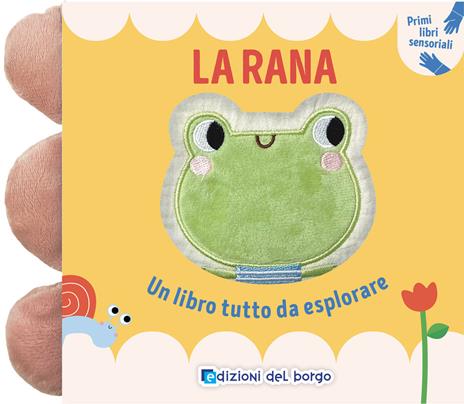 La rana. Un libro tutto da esplorare. Ediz. a colori - copertina