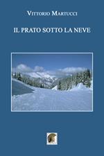 Il prato sotto la neve